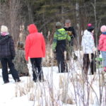 IMG_1078_950x400_acf_cropped-2