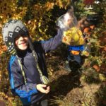 Fall
