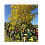 fall