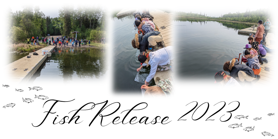 Fish Release