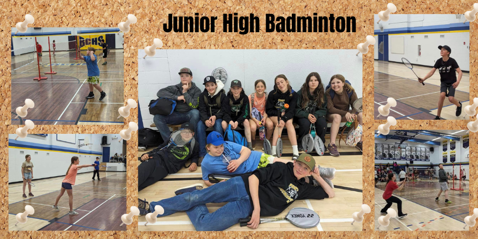 Jr High Badminton Tournament