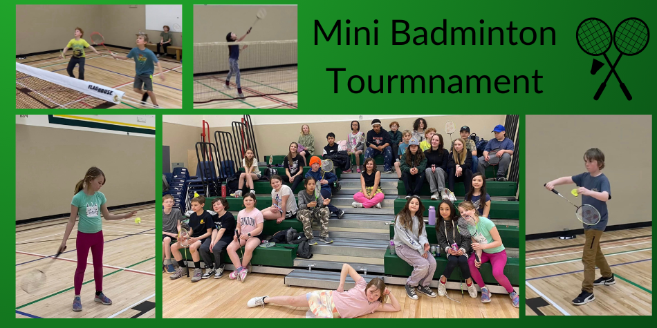 Mini Badminton Tournament