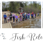 Fish Release 2026