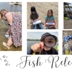 Fish Release 2026 2