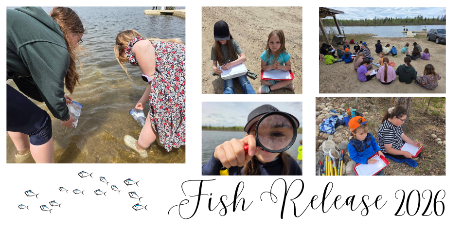 Fish Release 2026