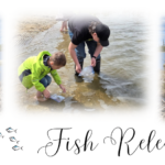 Fish Release 2026 3