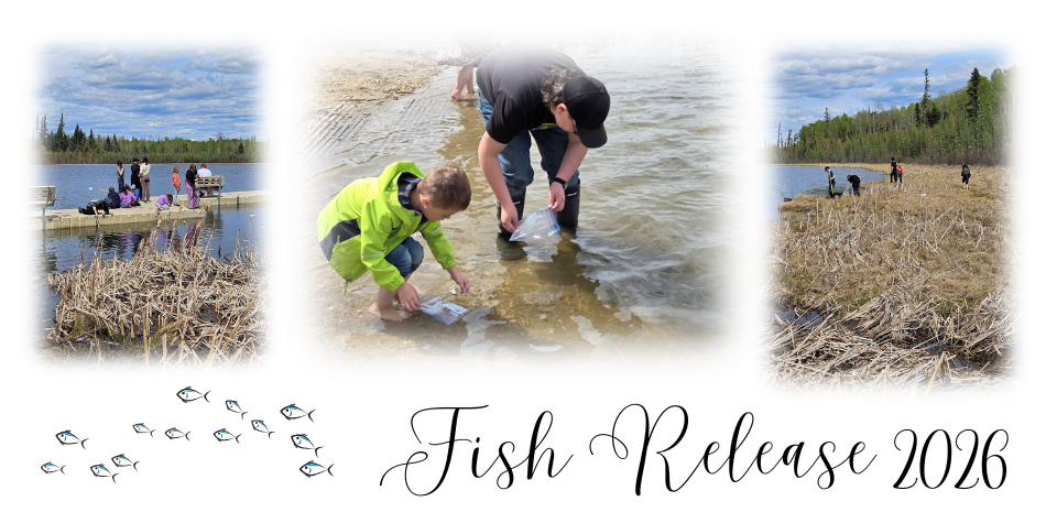 Fish Release 2026
