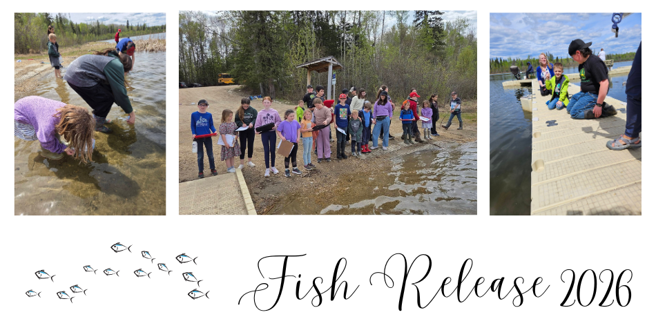 Fish Release 2026
