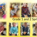 Grade 1 and 2 Spring Chickens ’26