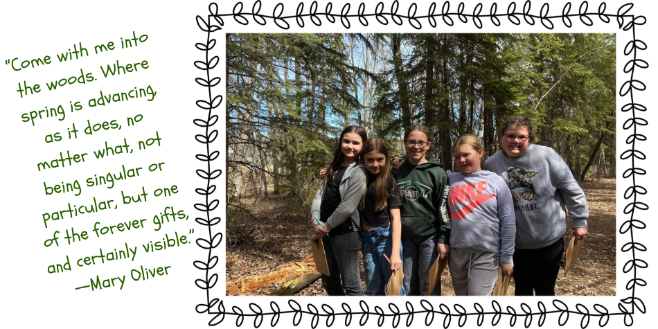 Outdoor Classroom #2