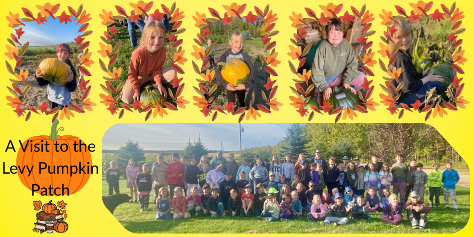 Levy Pumpkin Patch