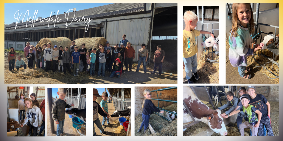 Mellowdale Dairy Visit